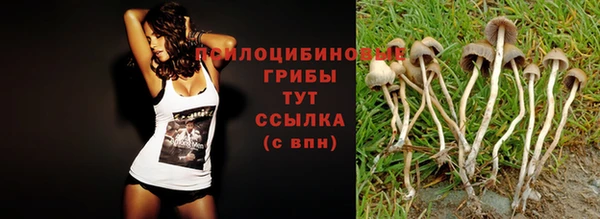 гашиш Алзамай