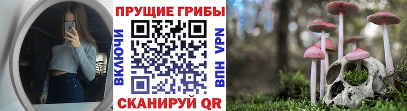 мориарти официальный сайт  mega ONION  Добрянка  купить закладку  Галлюциногенные грибы Psilocybine cubensis 